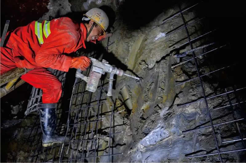 1575008980115617.jpg 12.jpg