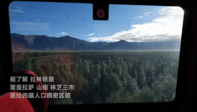 1645751811608469.jpg QQ截圖20220225091607.jpg