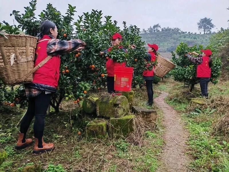 1677465508306085.jpg 微信圖片_20230227103835.jpg