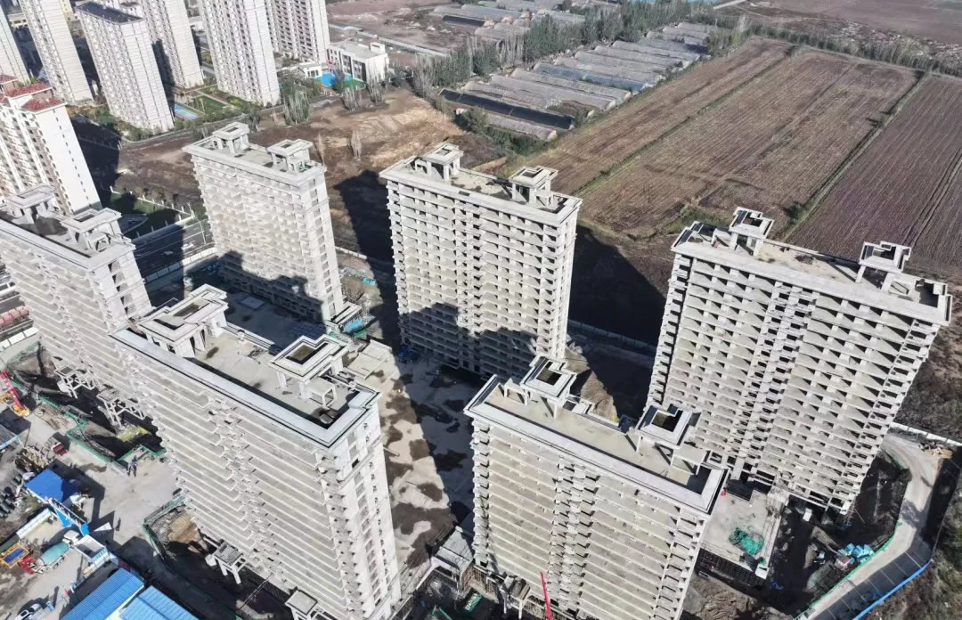 1733207676116444.jpg 1.jpg