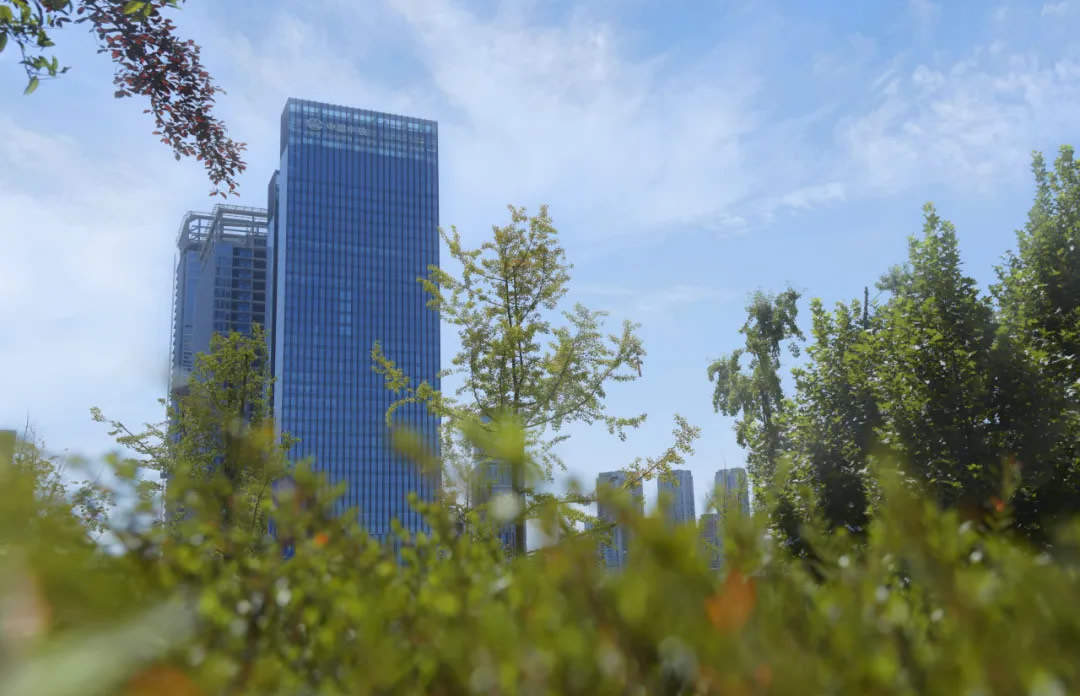 1733209962732659.jpg 1.jpg