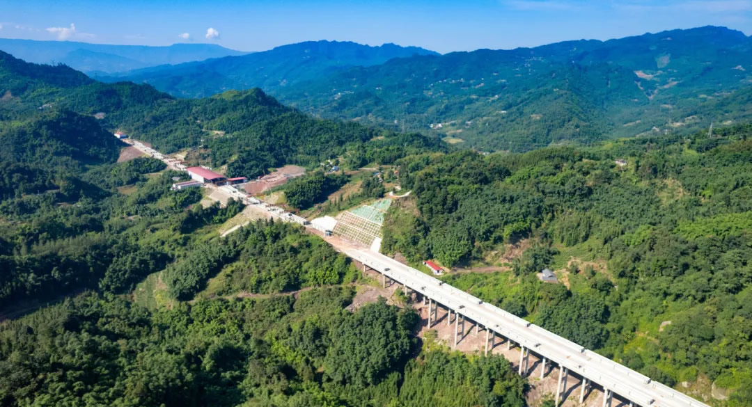 1733277906822208.jpg 1.jpg