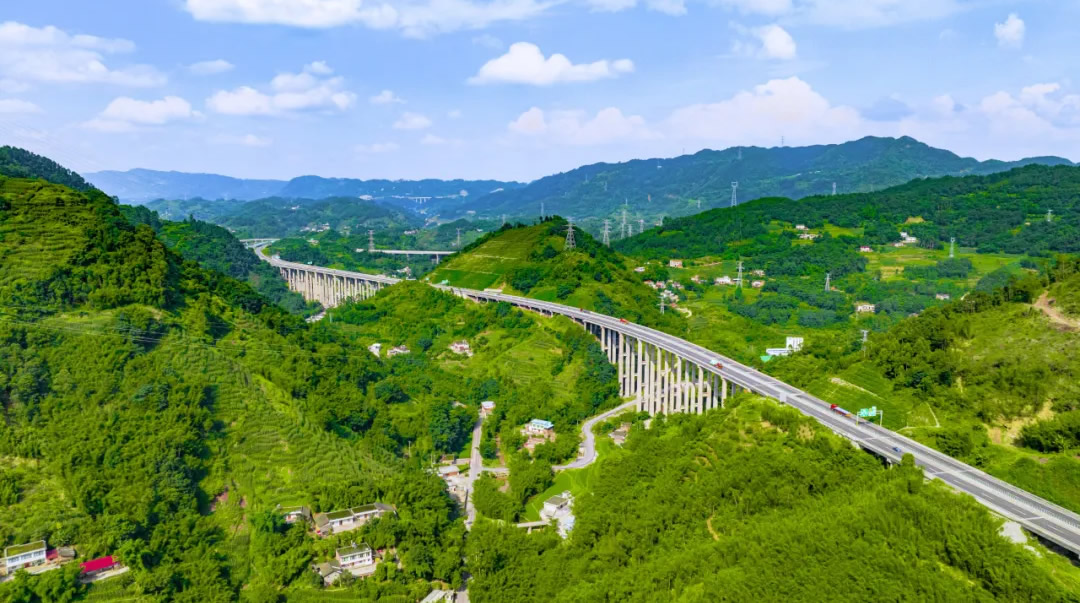 1735630262712477.jpg 1.jpg