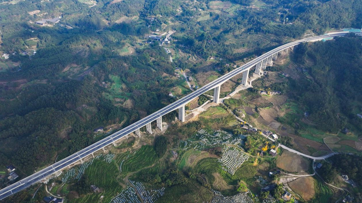 1735635204732400.jpg 1.jpg