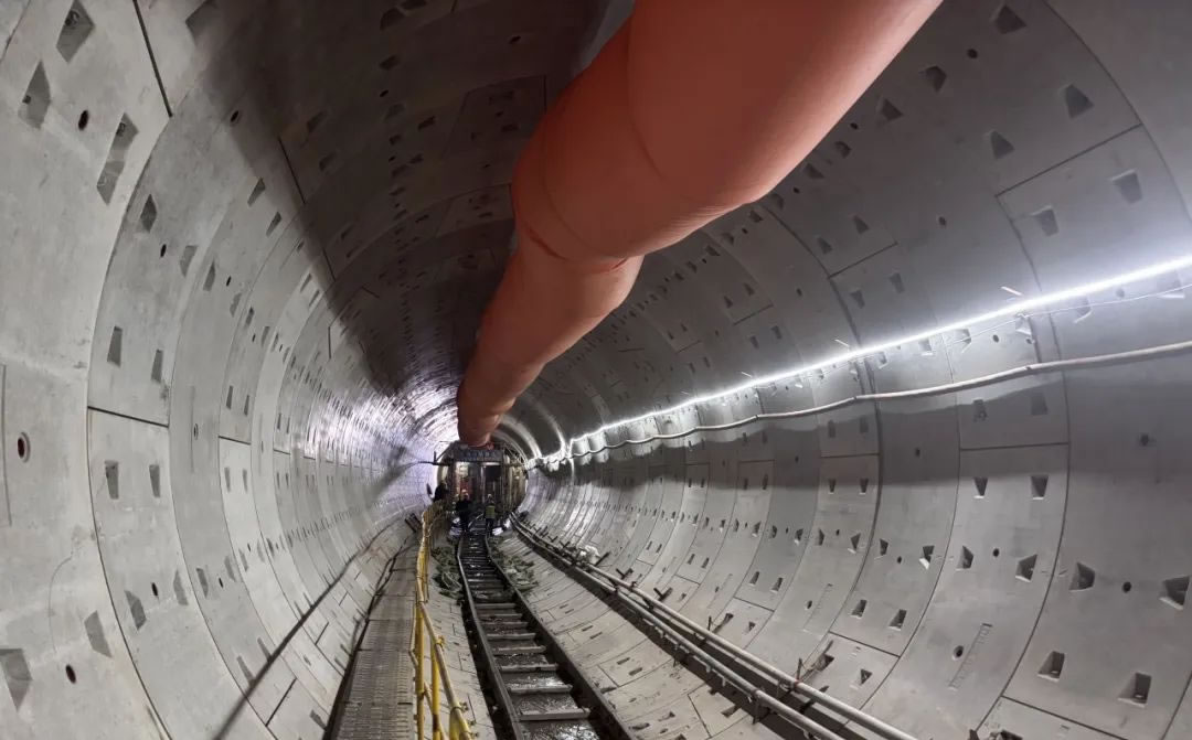 1737517113284354.jpg 1.jpg