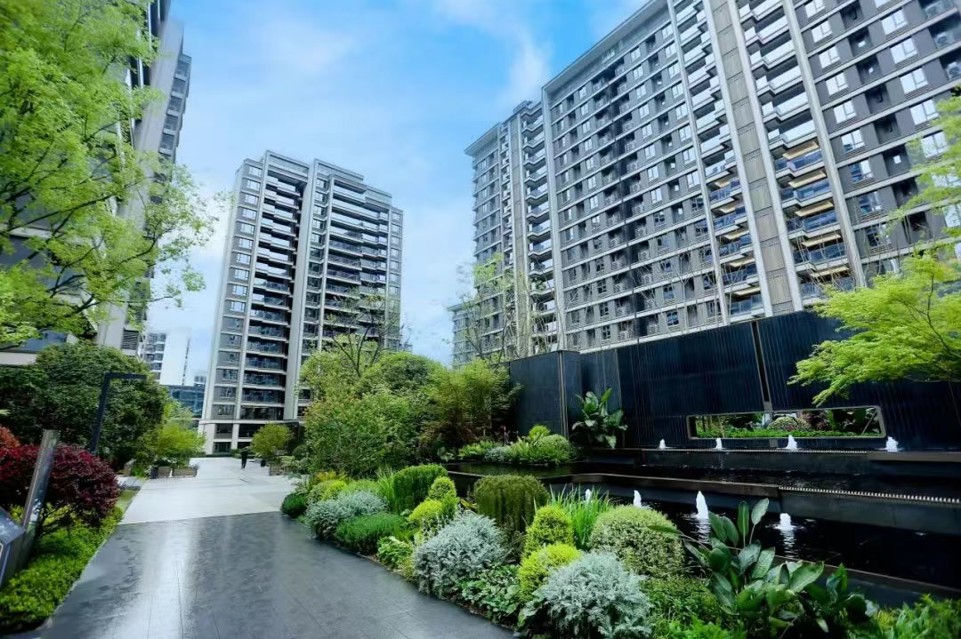 1746685611225099.jpg 1.jpg